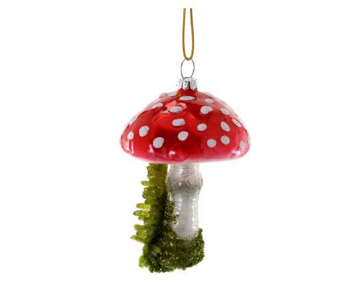 Red Mushroom with grass