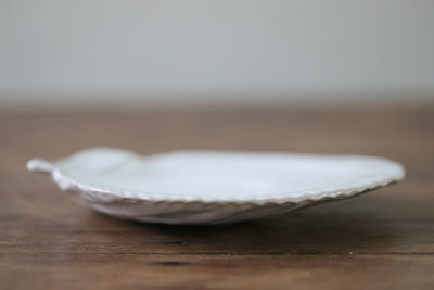 Scallop Shell Plate